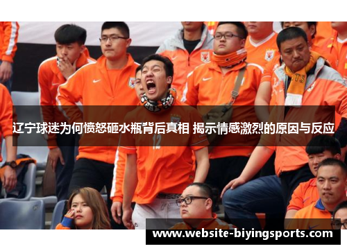 辽宁球迷为何愤怒砸水瓶背后真相 揭示情感激烈的原因与反应